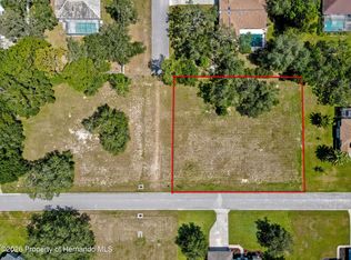 8 Deer St, Spring Hill, FL 34608