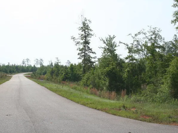 1406 Dunwoody Pl Lot 4, Appling, GA 30802