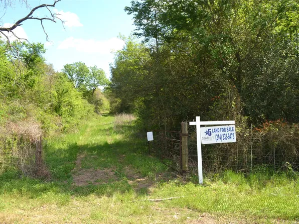 977 E, Leona, TX 75850