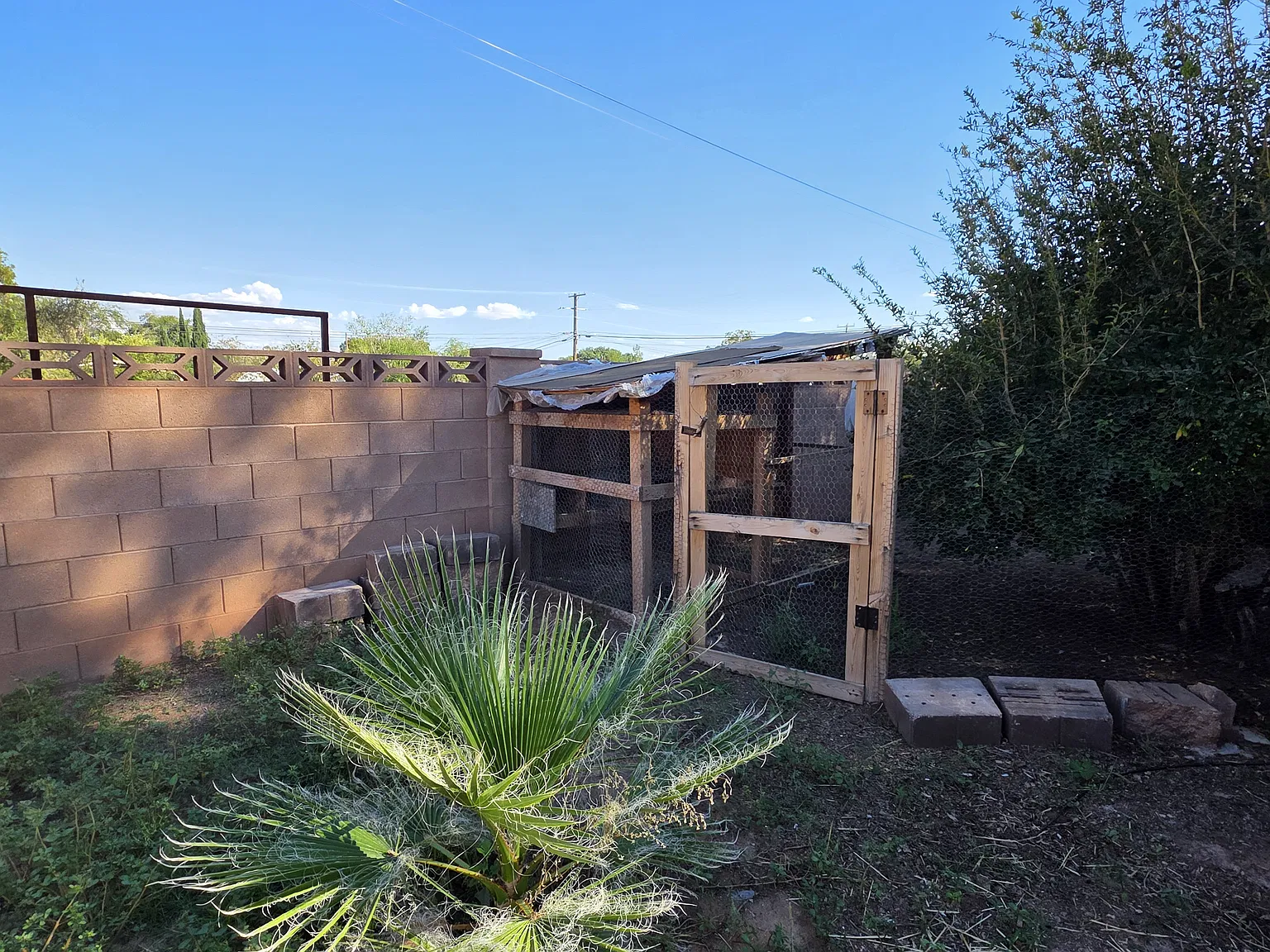 3 bed, 1544 sqft, $2,500 — Photo 4
