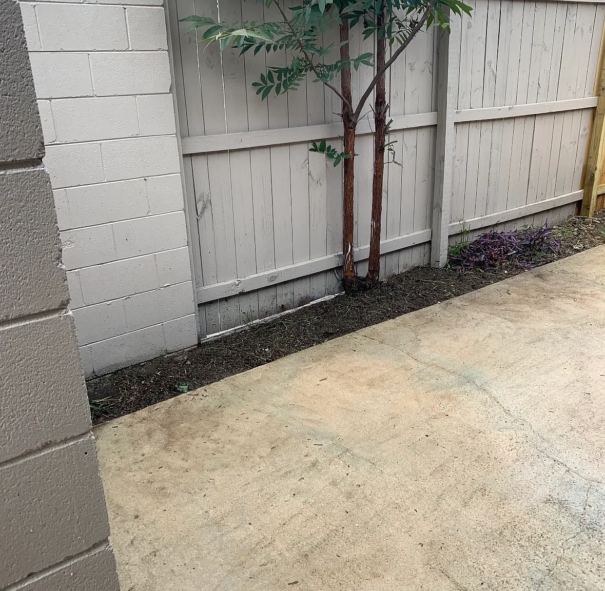 2241 W Pensacola St — Photo 3