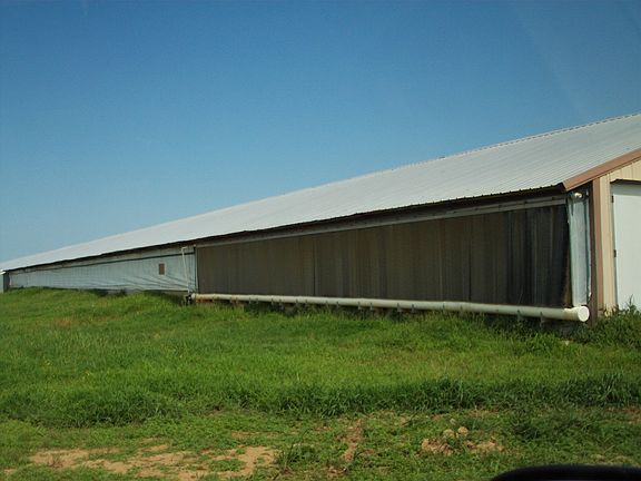 5th image of 20814 Highway 71 N