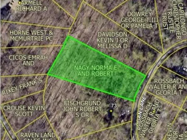 Bogan Ln, Mount Jackson, VA 22842