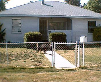 Front view with dog