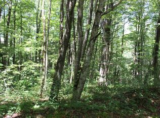0 Rocky Knob Rd, Scaly Mountain, NC 28775