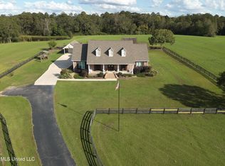 478 Sones Chapel Rd, Carriere, MS 39426