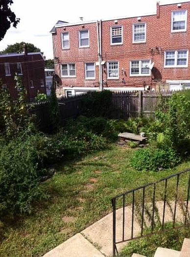 Rear Yard