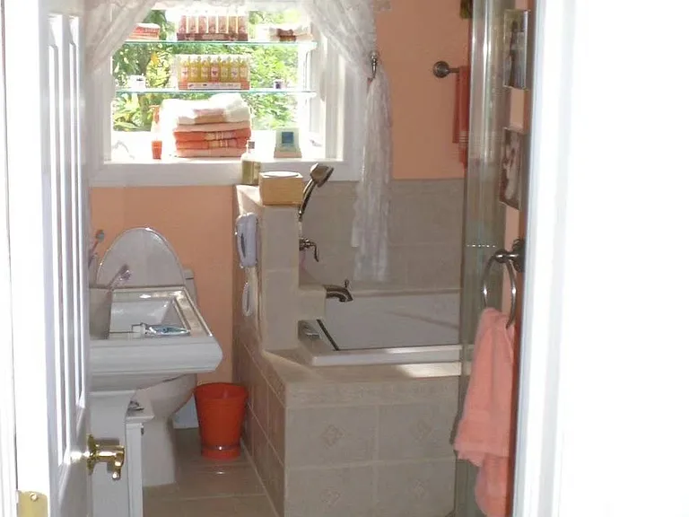 master bathroom upstairs from doorway