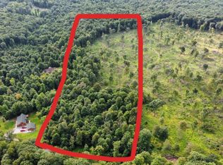 0 Mountain Springs Rd, Alum Bank, PA 15521