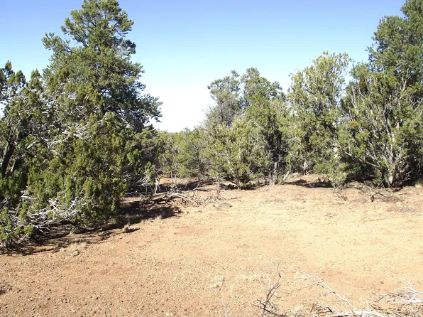 803 E Pawpaw Ln, Williams, AZ 86046