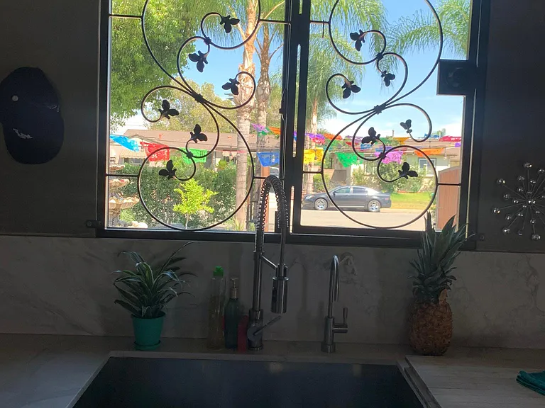 reverse osmosis drinking water located in the kitchen sink