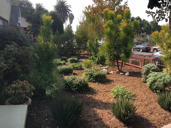 Beautifully landscaped front yard features native plants and drought-tolerant succulents.