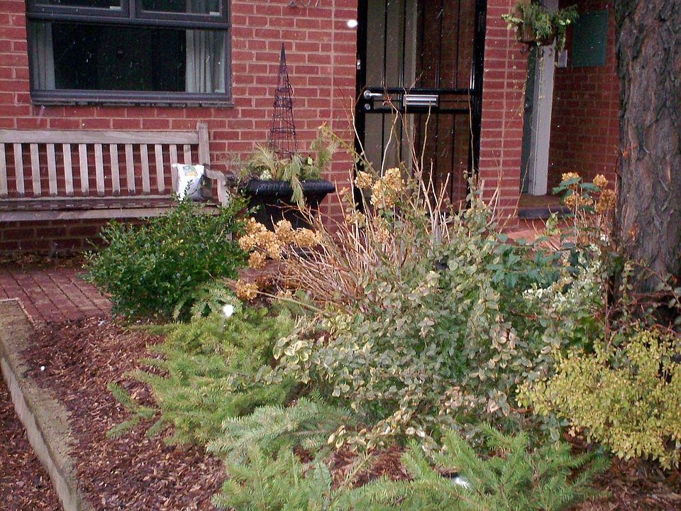 1st image of 207 Head House Ct