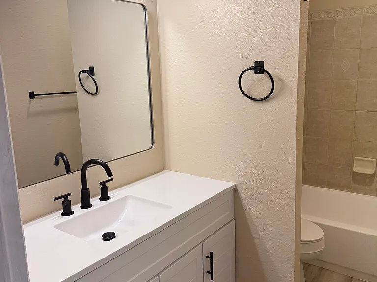 New bath with luxury vanity