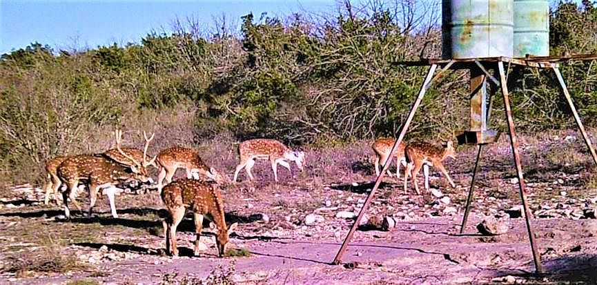 1st image of 100 State Highway 674