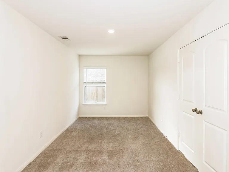 1110 Rare Fancy Dr — Photo 10