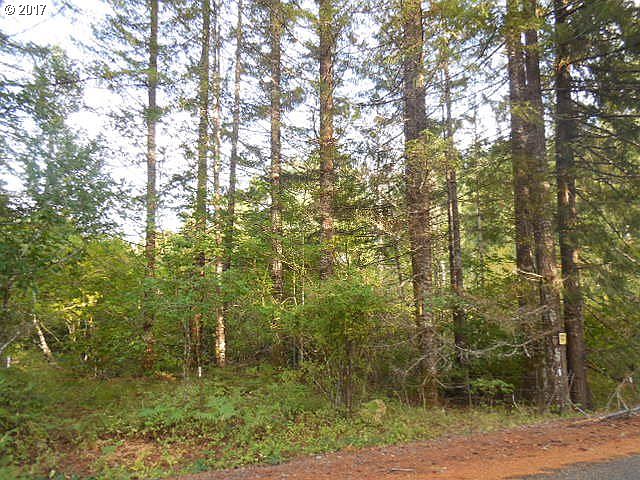 2nd image of Trout Creek Rd