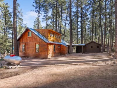 199 W Mockingbird Ln, Payson, AZ, 85541