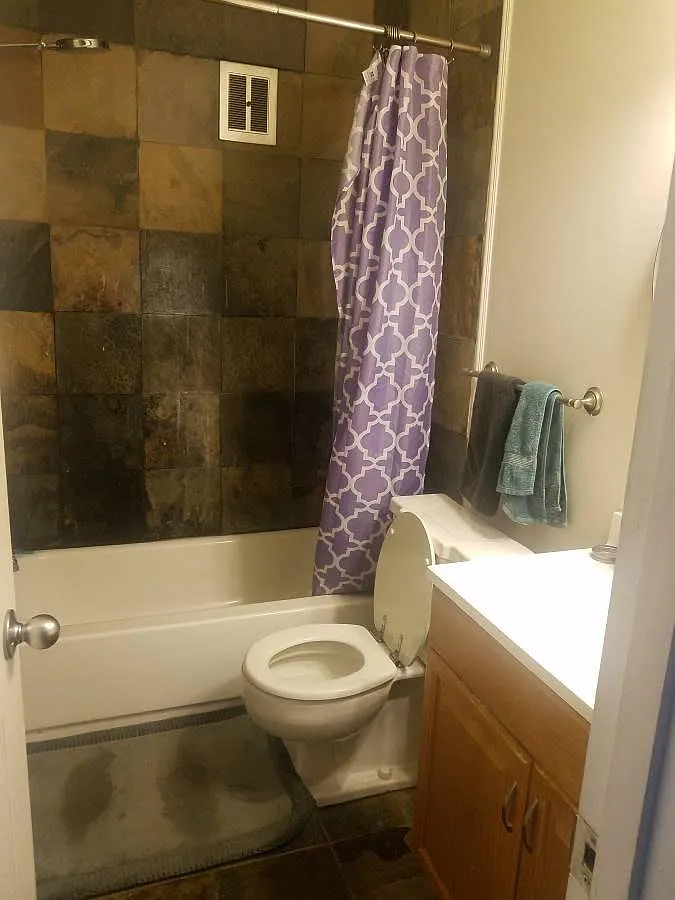 1 bed, 552 sqft, $1,250 — Photo 3