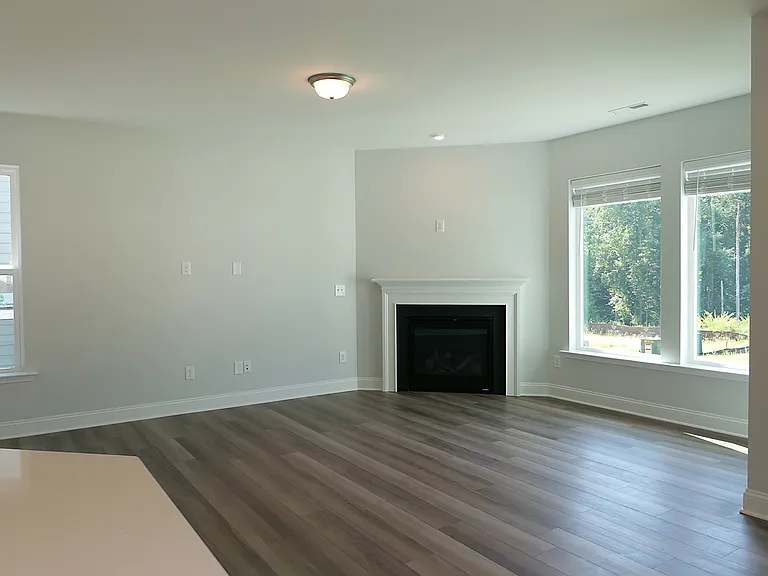 117 Deardom Way — Photo 4