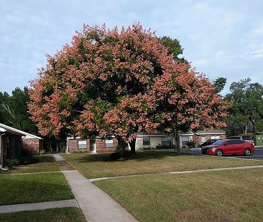 2nd image of 8130 Forest Villas Cir #8130A