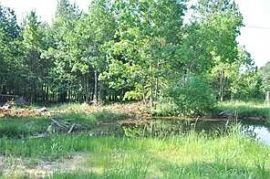 10955 Daw Collins Rd — Photo 5