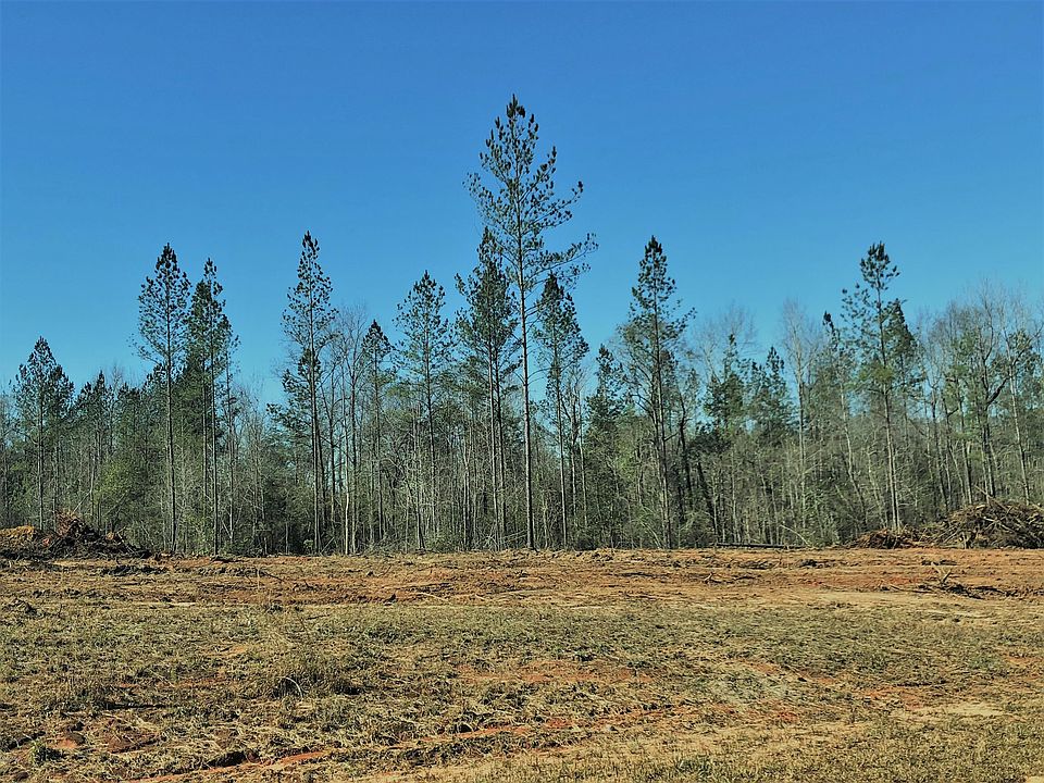 2nd image of 111AC Pineview Dr