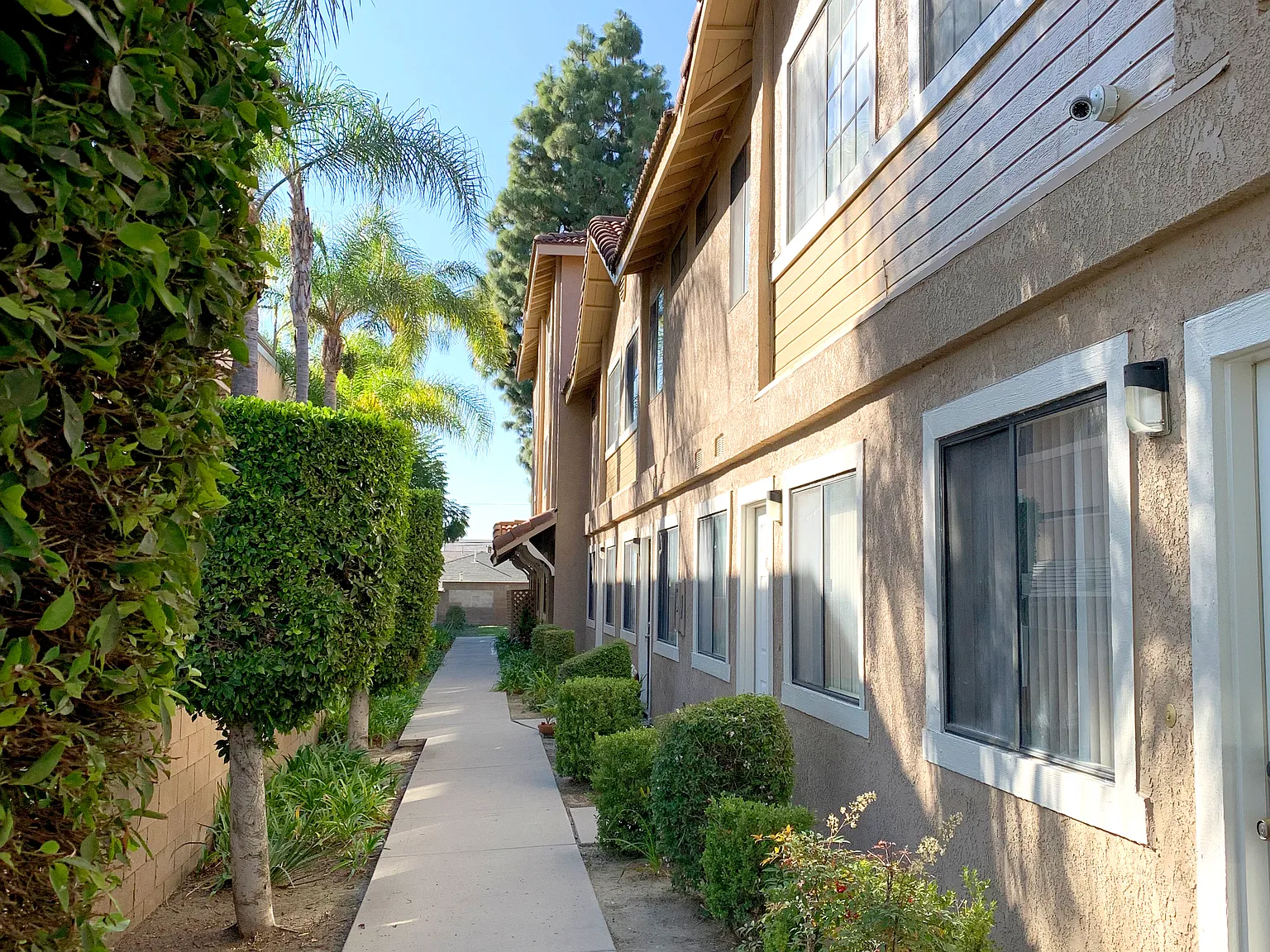 2 bed, 800 sqft, $2,100 — Photo 3