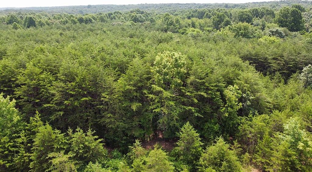 Elam Dr, Prospect, VA 23960 Zillow