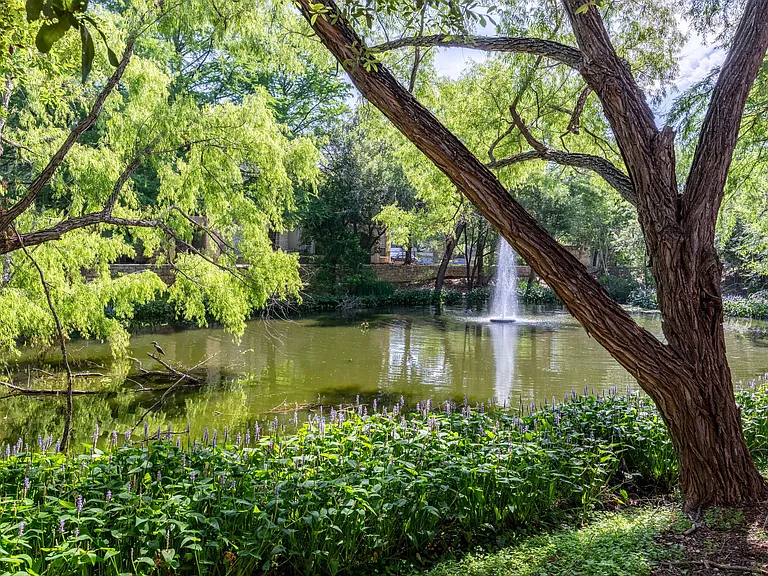 The Boulevard At Town Lake — Photo 23