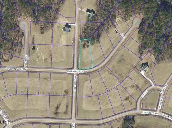 134 N Brightleaf Dr Lot 189, Minnesott Beach, NC 28510