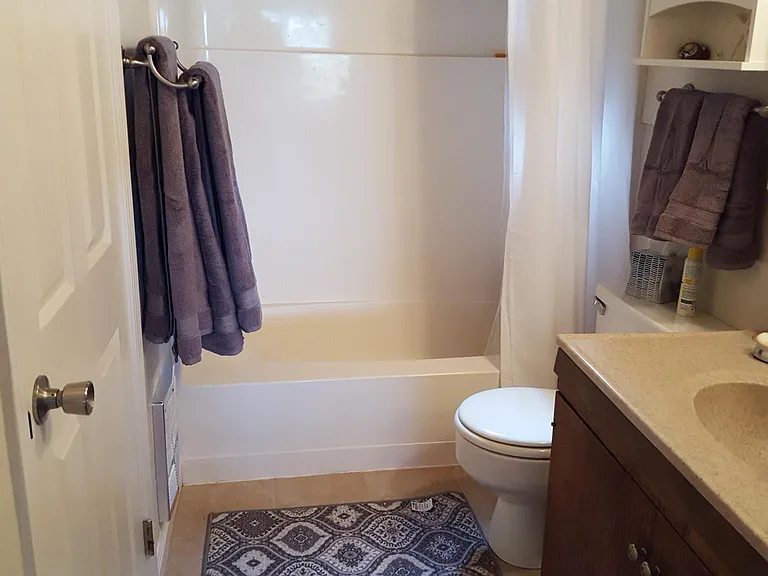 Guest Bath