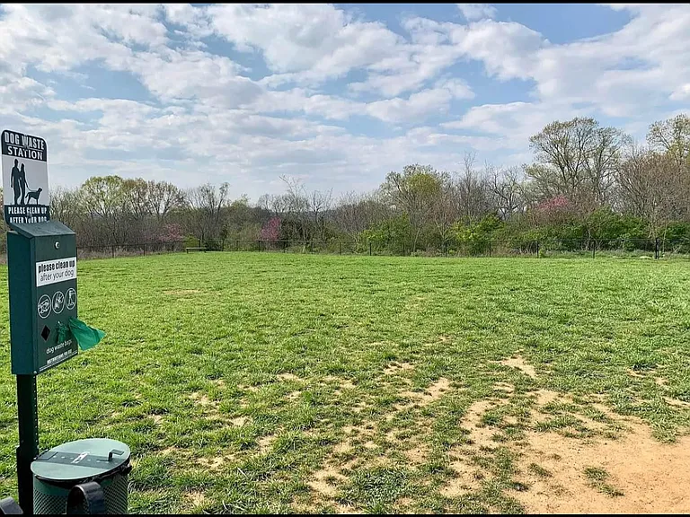 Dog Park
