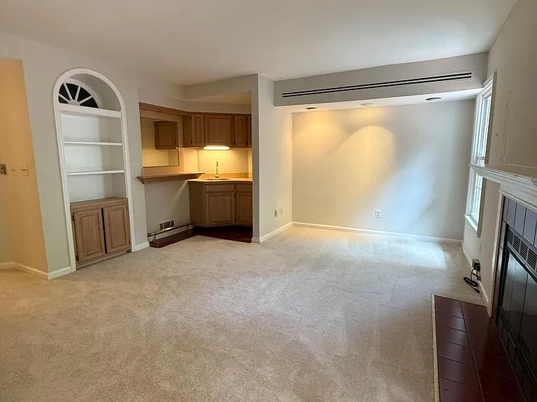 8442 Springfield Oaks Dr — Photo 21