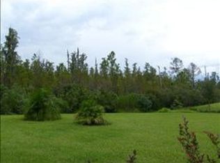 233 Vista Dr, Poinciana, FL 34759