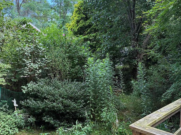 123 Jefferson Dr — Photo 12