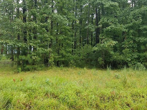 4th image of Lot 6 Timber Lane