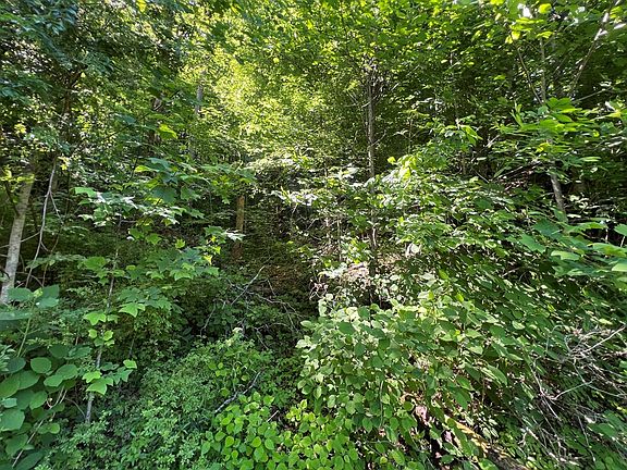 5th image of LOT 8 Apache Rd