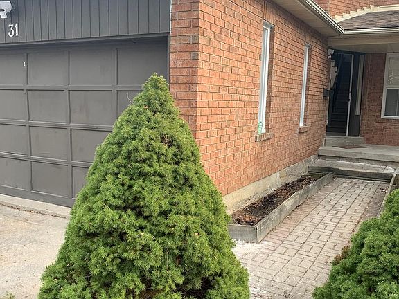 4th image of 31 Timbermill Cres