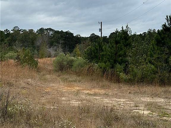 3rd image of 0 Dug Leckie Rd