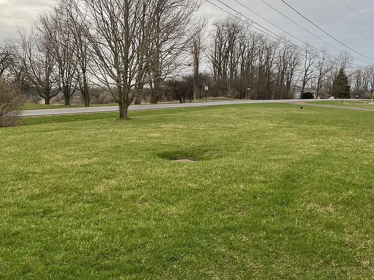 15678 County Road 5 — Photo 20