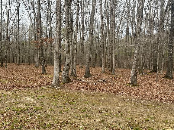 5th image of 145 Eaglet Rd
