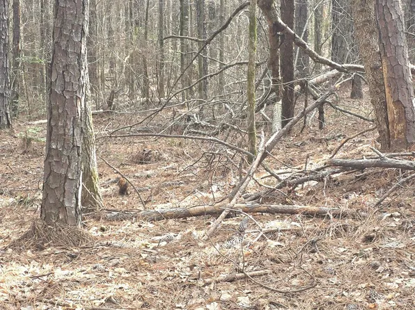 0 White Cedar Dr, Sparta, GA 31087