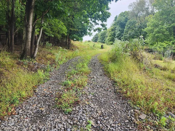 Mountain Rd, Shamokin, PA 17872