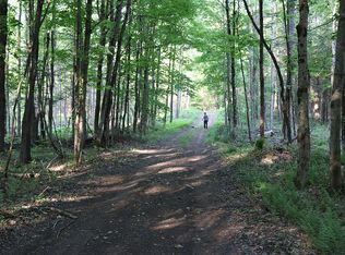 12104 Beartown Rd, Natural Bridge, NY 13665