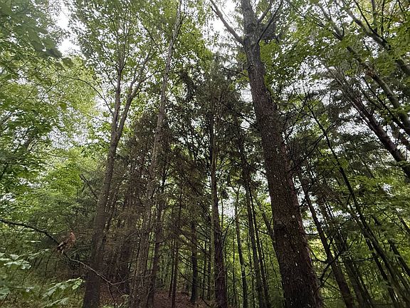 2nd image of 0 Pickens Rd
