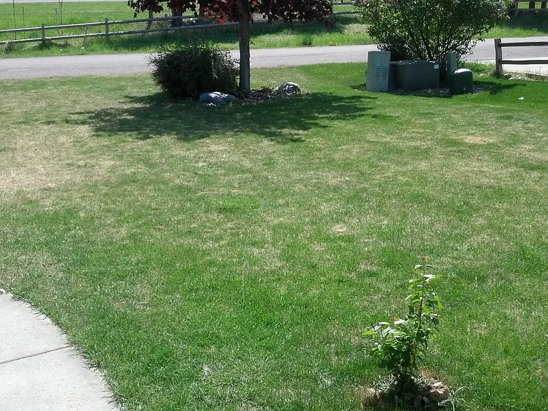 105 Ben Williams Ln — Photo 10