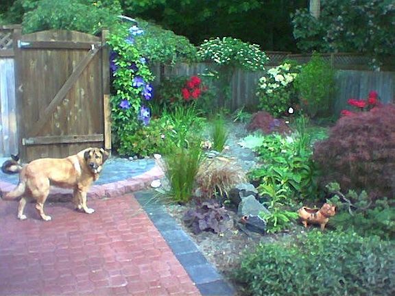 Kona's Front Asian Garden 