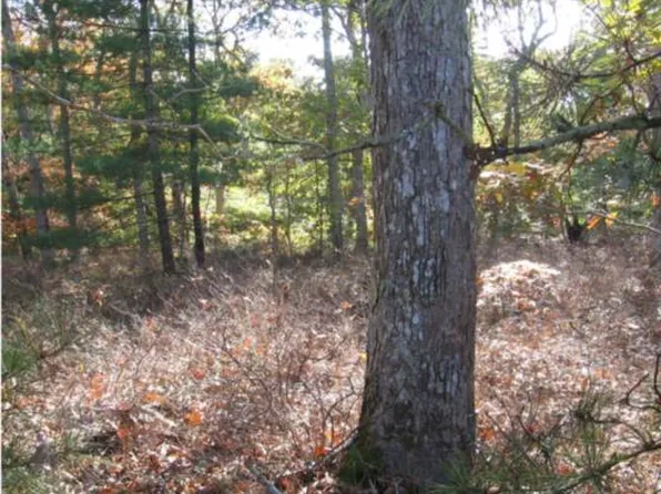 7 Franklin Ter, Vineyard Haven, MA 02568