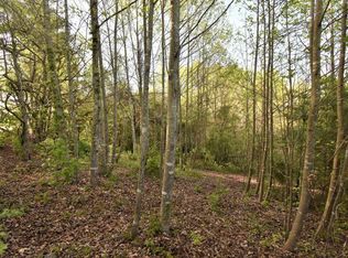 0 Luther Villa Rd, Sneedville, TN 37869